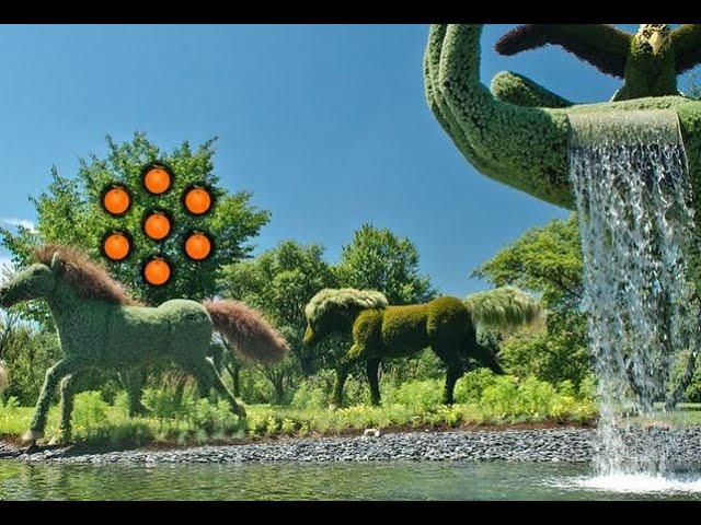 art garden escape video walkthrough