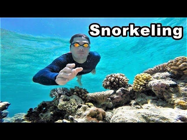 Best Snorkeling in the Philippines