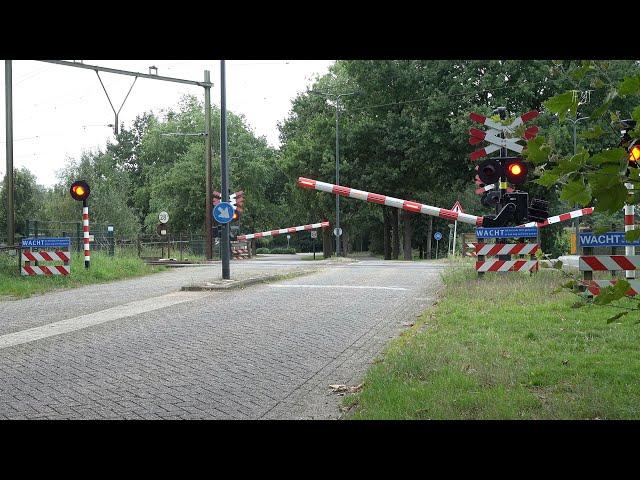 Railroad Crossing - Rosmalen (NL) - Bahnübergang Hoff van Hollantlaan , Passage à niveau