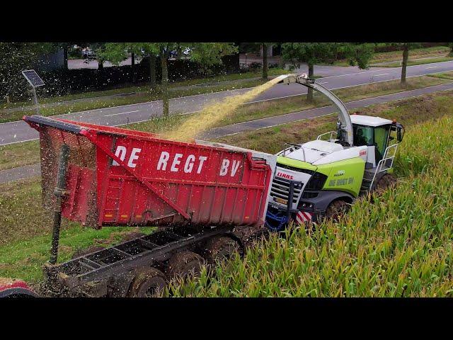 Mais hakselen | Chopping corn | Maishäckseln | CLAAS | Case IH | Beco | Fendt | Kaweco | Maisoogst