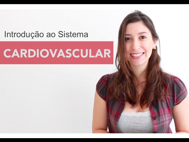 Sistema Cardiovascular 1/6: Introdução | Anatomia e etc.