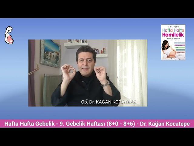 Gebelikte 9. hafta (8+0-8+6). Anne adayında ve bebekte ortaya çıkan değişiklikler ve kan testleri