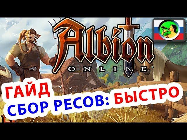 Albion Online ГАЙД как БЫСТРО прокачать СБОР ресурсов @ sandbox MMORPG