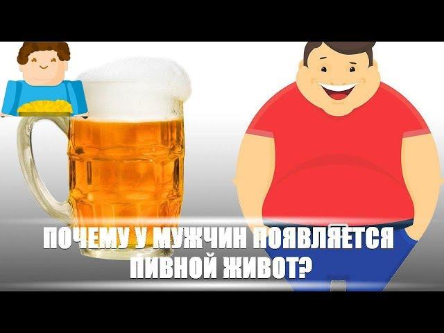 Почему у мужчин появляется пивной живот?  [Plushkin]