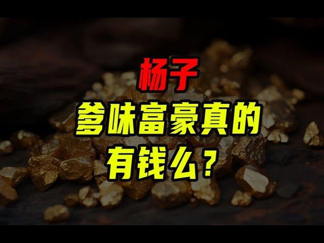 爹味富豪真的有錢嗎？【沈帥波】