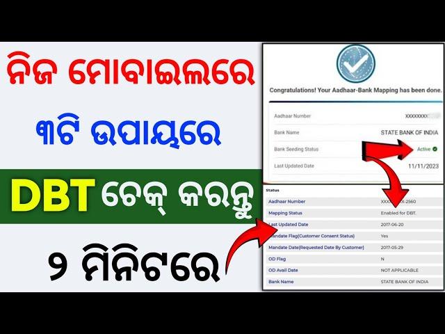 how to check dbt linked account | dbt link account check odia | dbt kaise check kare odia