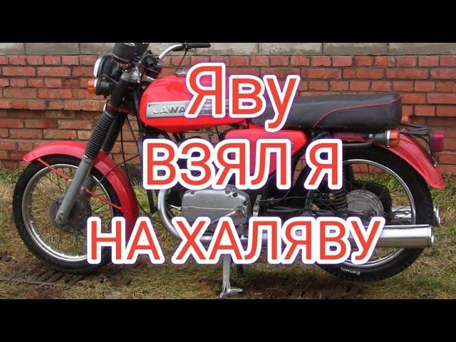 КЛИП СЕКТОР ГАЗА ЯВУ ВЗЯЛ Я НА ХАЛЯВУ!!!