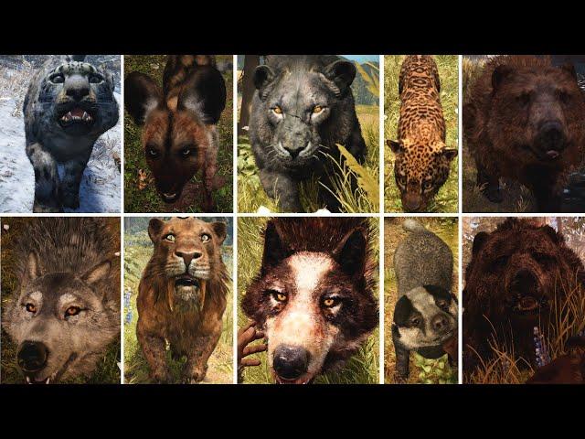 Far Cry Primal - Taming all animals - Rare animals