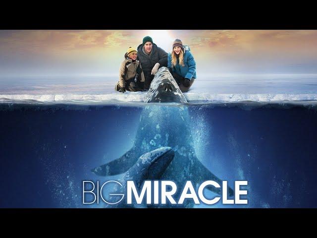 Big Miracle 2012 Film | John Krasinski, Drew Barrymore, Ted Danson | Review