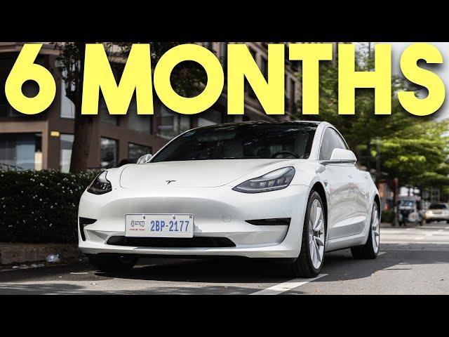 2023 Tesla Model 3 Six Months Later - Watch Before You Buy!!