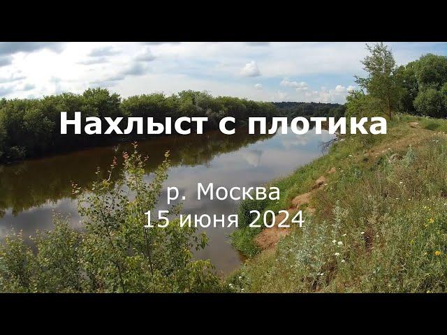 Нахлыст с плотика 3 | Река Москва | 15 июня 2024