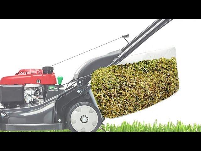 Lawn Mower Cut Quality: Bagging