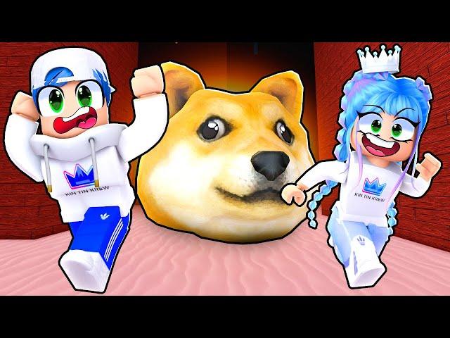 Roblox Doge Head Escape! Finding All The Lost Kittens