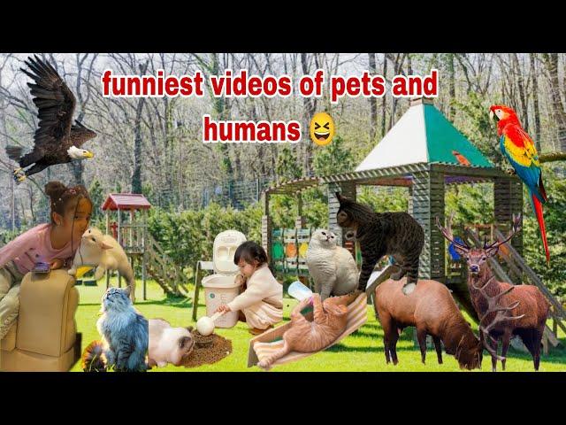 Cute Animal Videos 2024 Funniest Animal and Owner Videos 