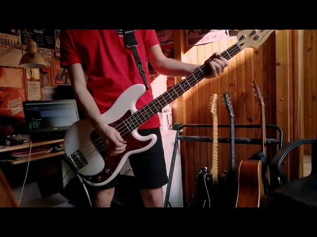 NOFX - 100 Times F*ckeder [Bass Cover]