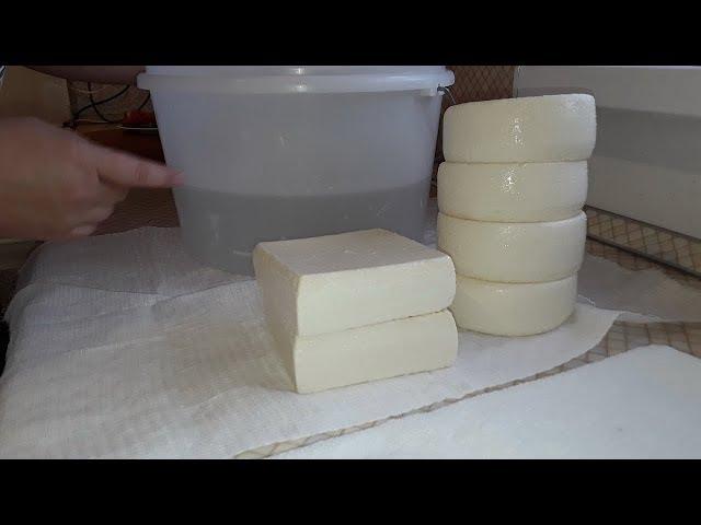 Сыроварня Русский Фермер Цена