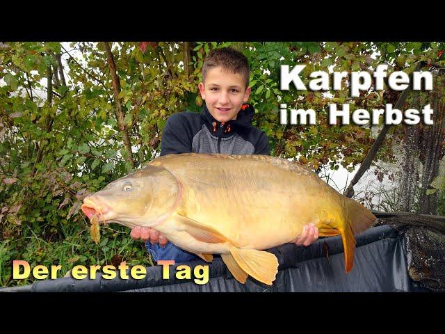 Karpfenangeln im Herbst | Angeln auf Karpfen - Fischen in Kärnten im Oktober