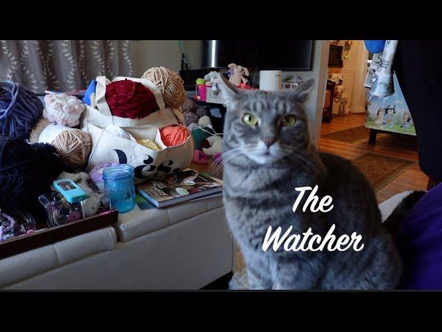 The Watcher