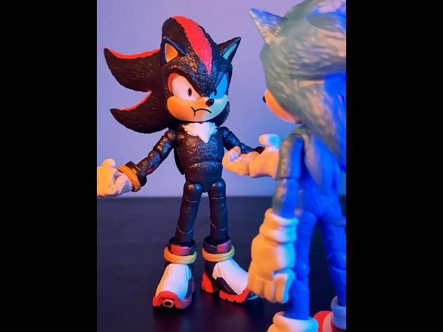 Sonic meets Shadow 