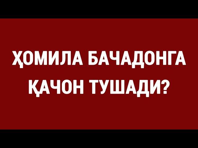 Ҳомила бачадонга қачон тушади? | When does the fetus enter the uterus?