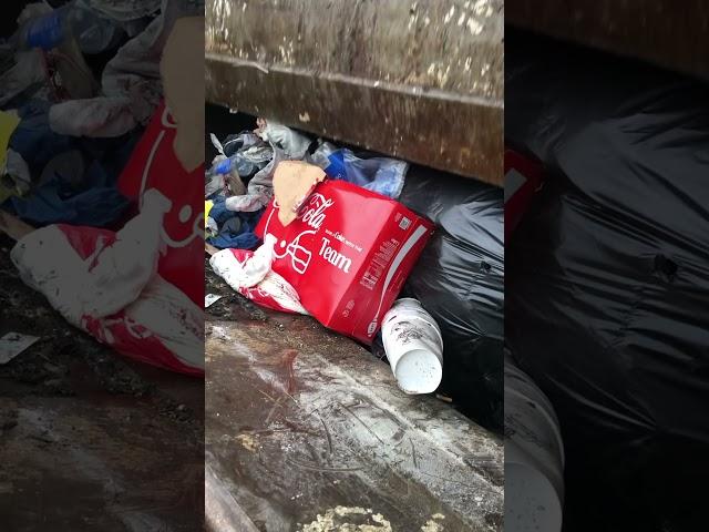 Coke~a~cola vs. garbage truck