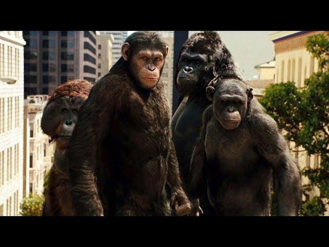 The monkeys got smarter than humans and they rebelled | Rise of the Planet of the Apes | Movie Recap