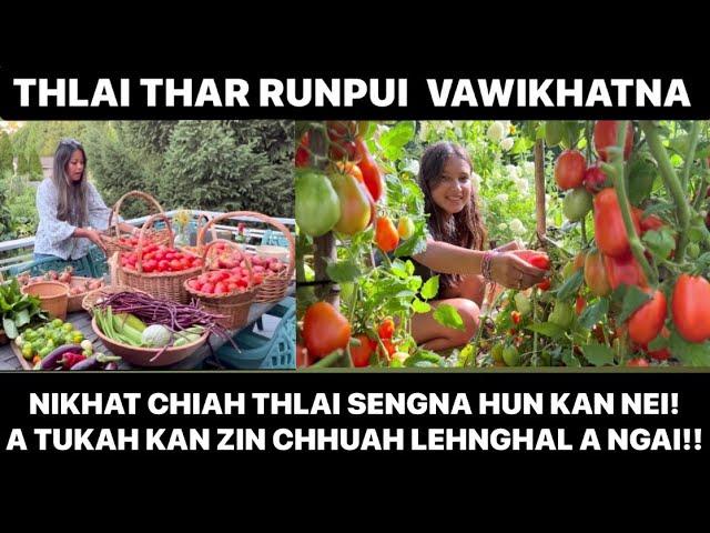 HEI LE  TOMATO LEH KAN THLAI THAR TE || ZIN HAW TUKAH VIRGINIA AH KAN LIAM LEHNGHAL A NGAI