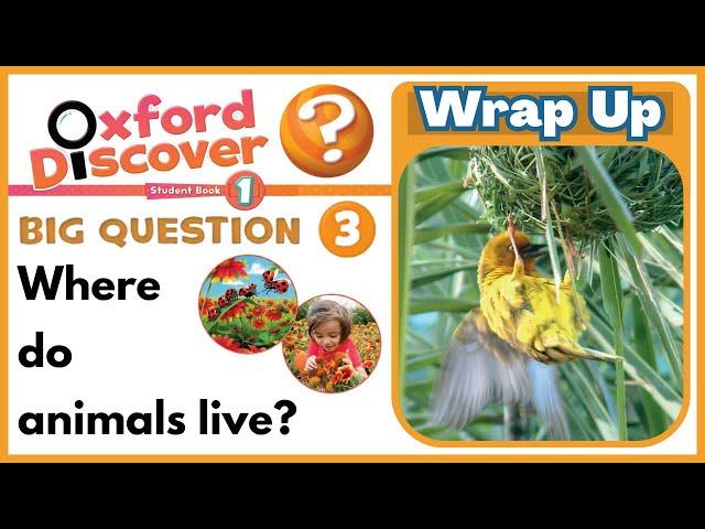 Oxford discover 1 | Big Question 3 | Where do animals live? | Wrap up