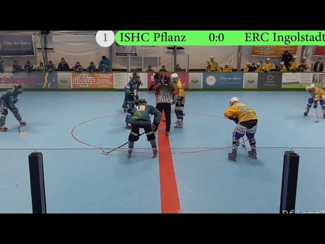 PflanzTV | Deggendorf Pflanz - ERC Ingolstadt | 6:11 | 18.03.17