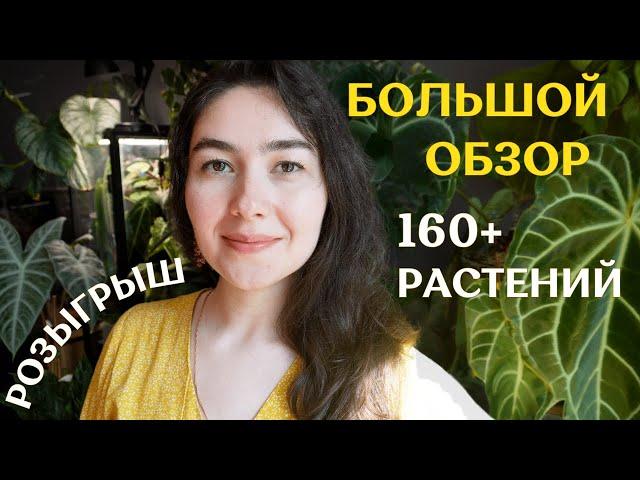 ВСЕ-ВСЕ-ВСЕ мои растения | БОЛЬШОЙ обзор коллекции | РОЗЫГРЫШ