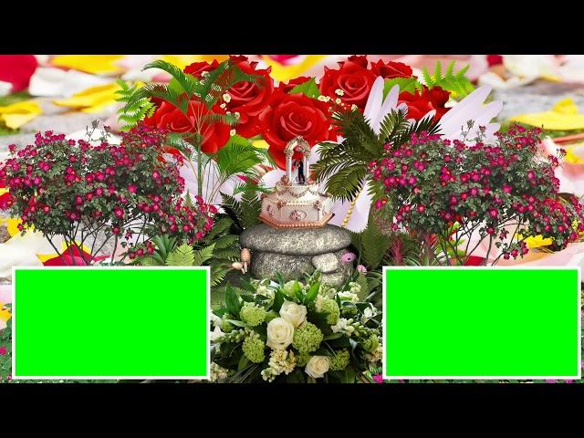 wedding croma  |  edius croma  |  green croma