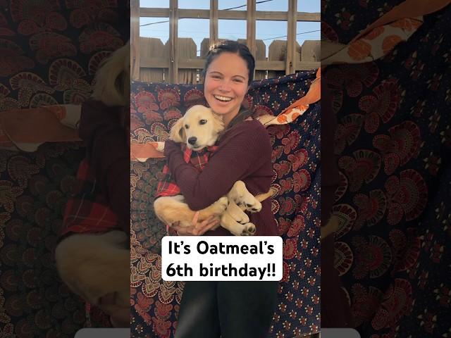 Happy Birthday to the strangest dog I’ve ever met 🫶 #HappyBirthday #Puppy #thenandnow
