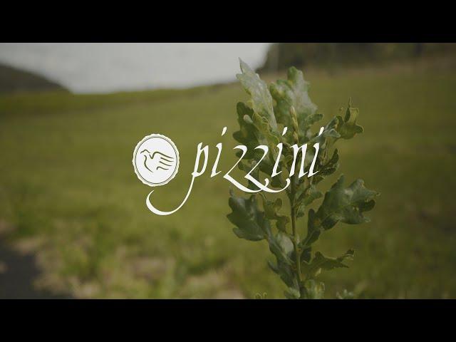 Fred Pizzini | Truffle Growing In The King Valley