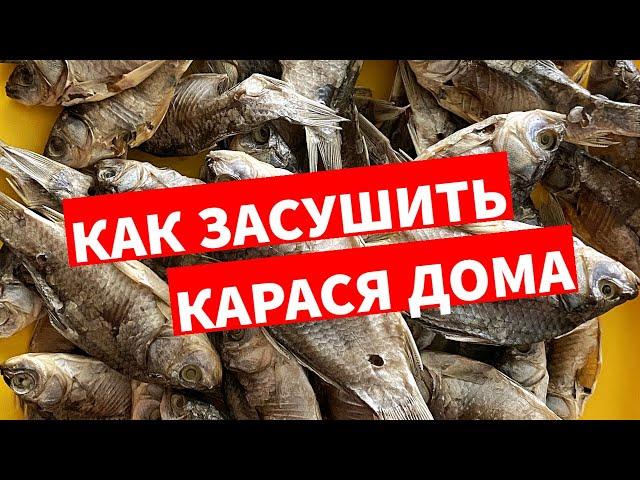 КАК ЗАСУШИТЬ КАРАСЯ ДОМА | КАК ЗАСОЛИТЬ РЫБУ ДЛЯ СУШКИ | КАК ВЯЛИТЬ КАРАСЯ | ВЯЛЕНЫЙ КАРАСЬ ЗА 2 ДНЯ