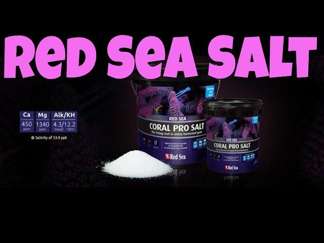 Red Sea coral pro salt vs instant ocean