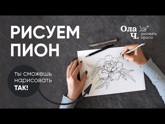 Как нарисовать пион – Уроки рисования для начинающих – Ола Ч.