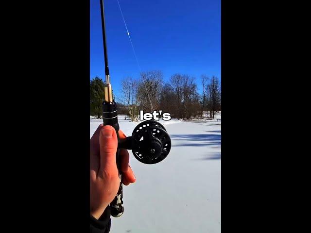 that fish was like "hello, how are you this fine day?"  #icefishing #fishing #fish #reel