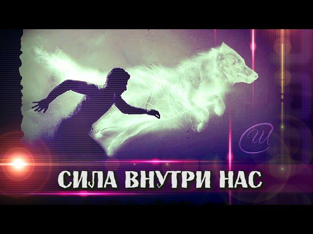 Сила в людях! Сила в нас самих! Песня, мотивирующая к действию| Союз Шадровых.