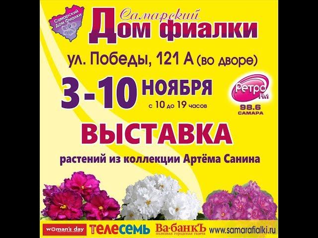 ВЫСТАВКА ФИАЛОК 03-10 ноября,Самарский Дом Фиалки.