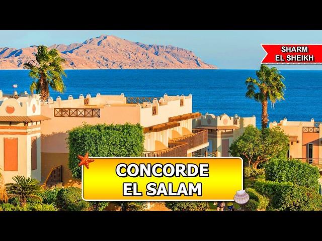 Concorde El Salam Hotel - Hidden Gem in Sharm El Sheikh?