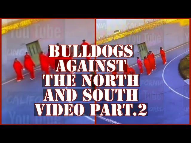 THE VIDEO WE DIDNT SEE..THE BULLDOGS ON THE YARD WAITING FOR THE NORTENOS AND SURENOS#funnyvideo