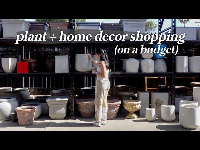 Studio Remodel Update Vlog + Plant Shopping (home decor is expensive!!)