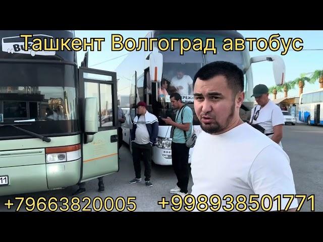 Автобус Ташкент Краснодар Нархлар