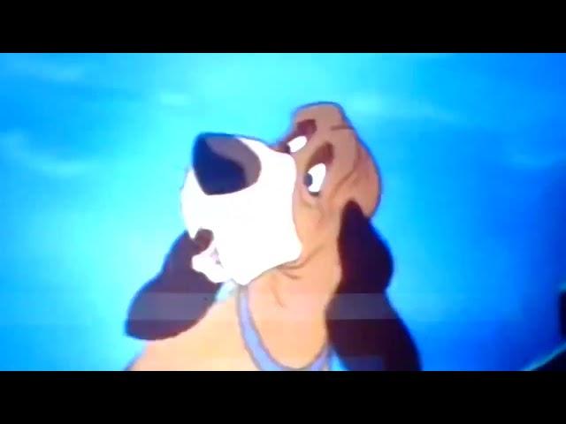 The Fox and The Hound (1981( Fox Again Scene (VHS Capture)