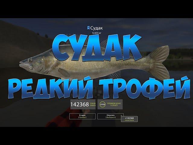 Русская Рыбалка 4: Судак/ Редкий Трофей