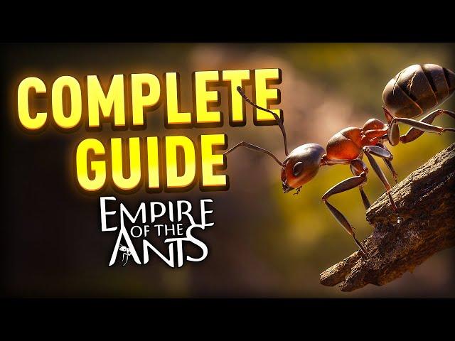 The Complete Empire Of The Ants Guide - Tips And Tricks Tutorial