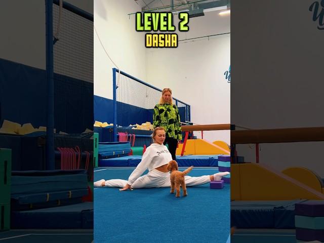 What is your level?)