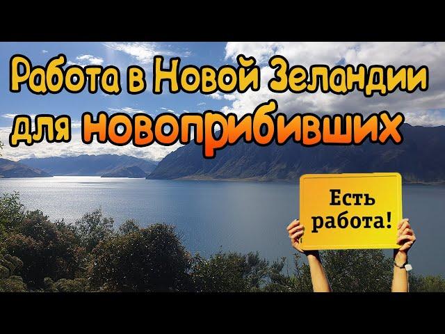 Работа на Фермах в Новой Зеландии. Уехать Жить Заграницу.