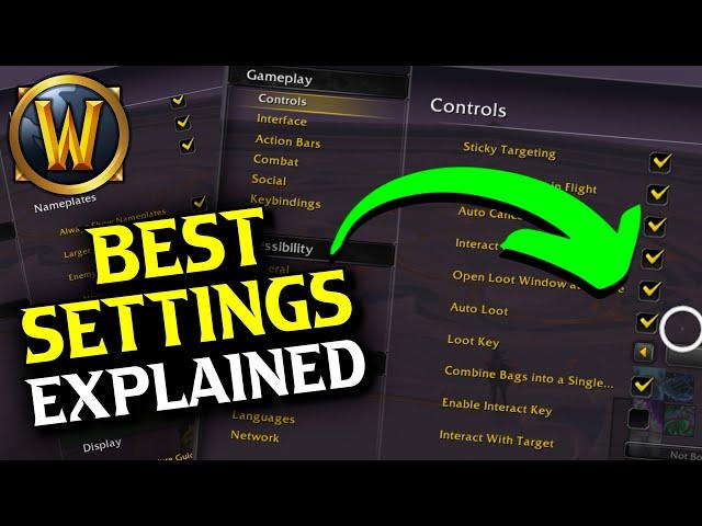 BEST PRO Settings for WoW Dragonflight | Interphase, Camera, Combat & More!