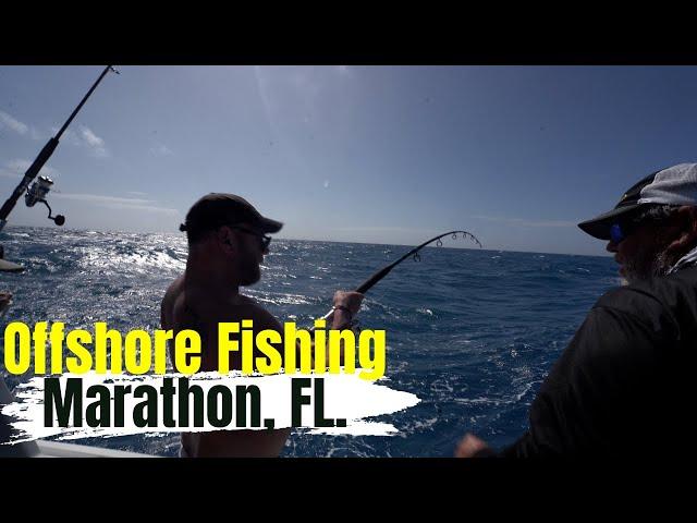 Offshore fishing in Marathon Florida